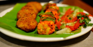 Rajma tikka and Paneer Tikka