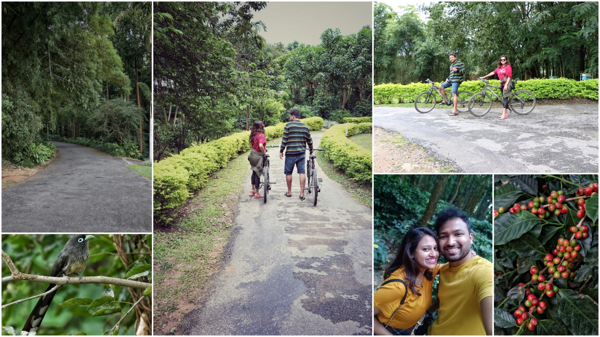 Serai Chikmagalur