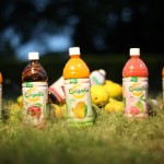 Organa - Healthy Organic Fruit Juices